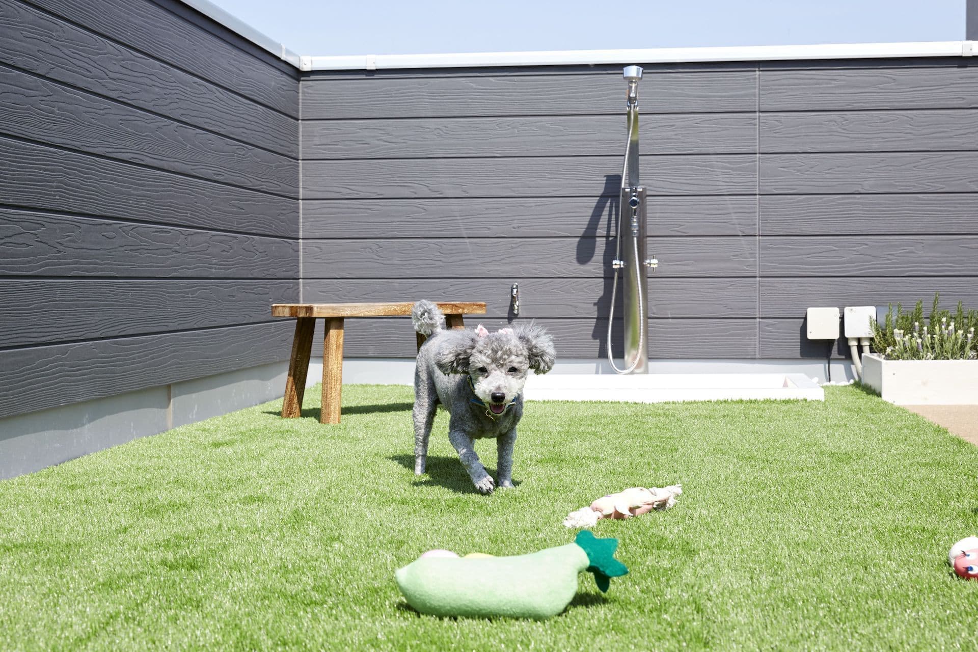 屋上ドッグラン